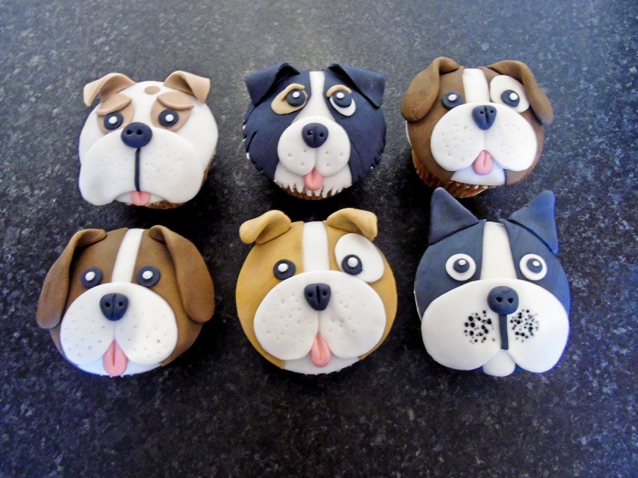 cakes barnstaple, cakes bideford, cakes north devon, baking north devon
