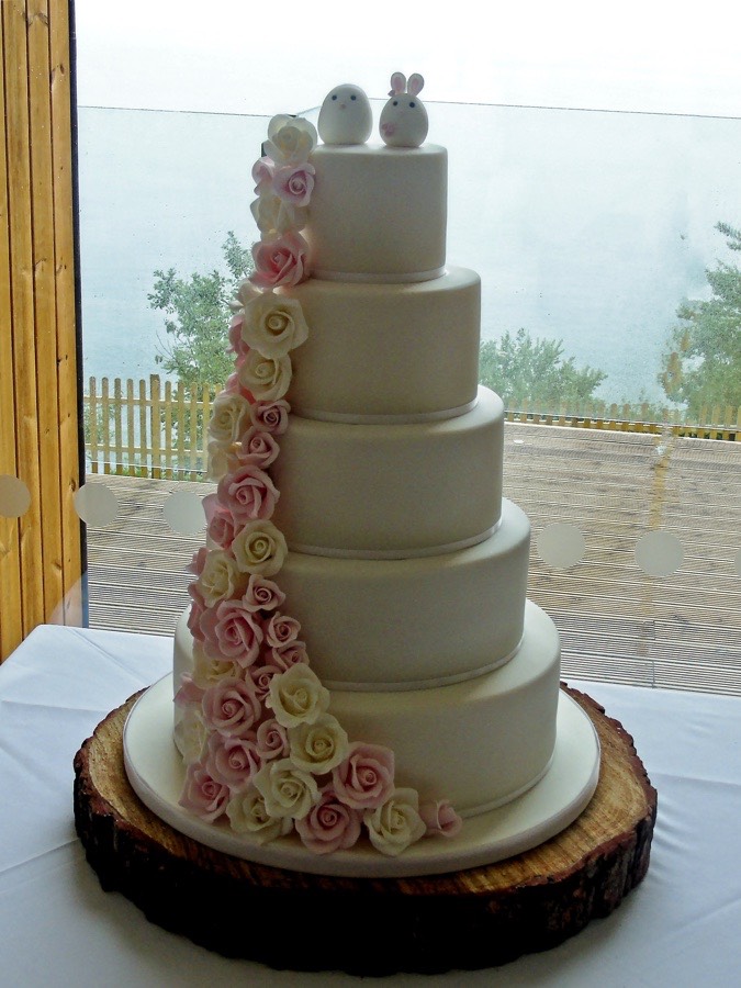 cakes barnstaple, cakes bideford, cakes north devon, baking north devon